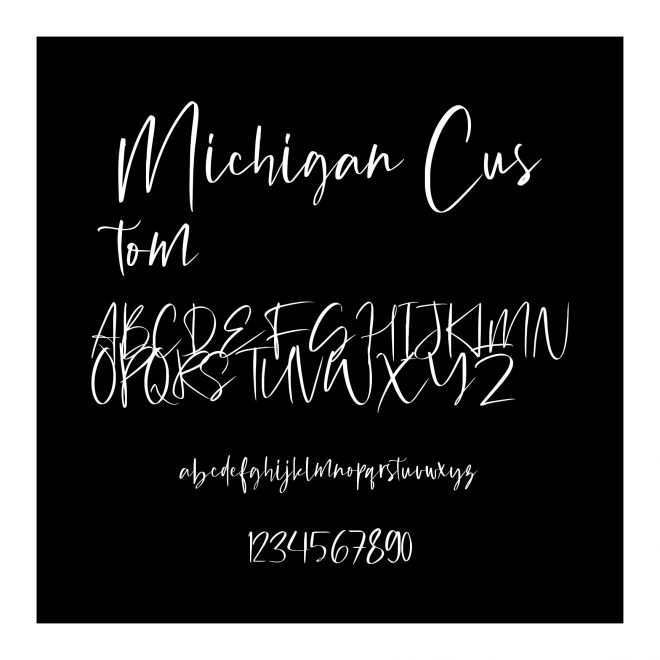 Michigan Custom