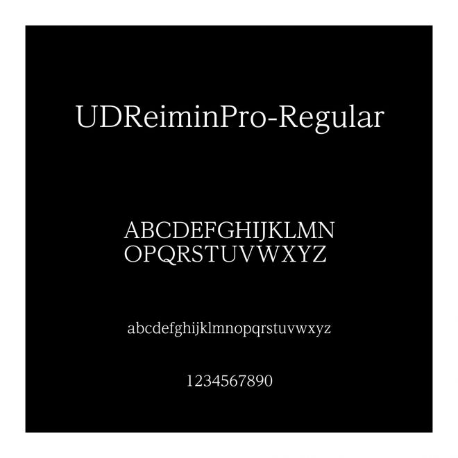 A-OTF UD黎ミン Pro R
