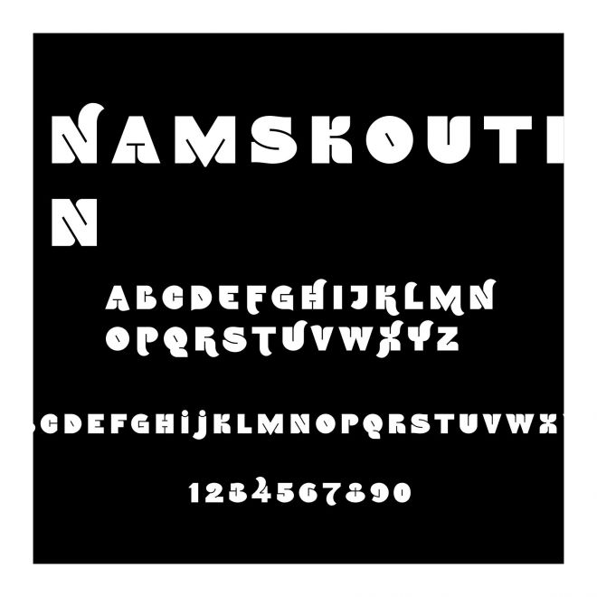NamskoutIn
