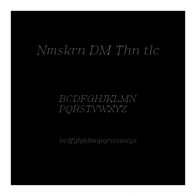 Namaskarn DEMO Thin Italic