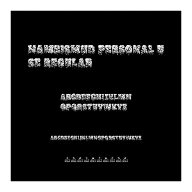 NAMEISMUD PERSONAL USE Regular