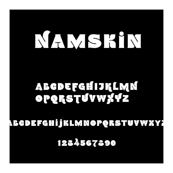 Namskin