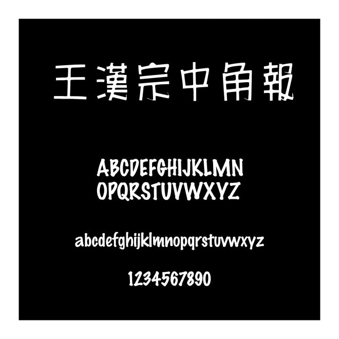 王漢宗中角報