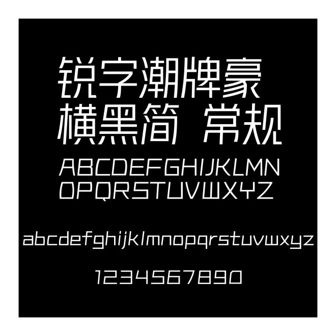 銳字潮牌豪橫黑簡 常規