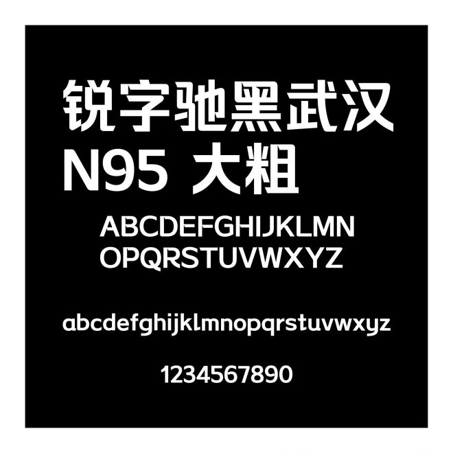 銳字馳黑武漢N95 大粗