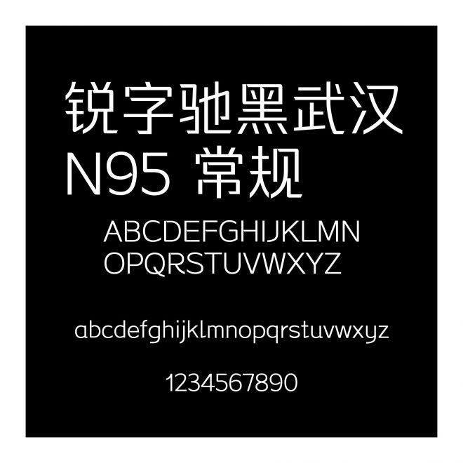 銳字馳黑武漢N95 常規