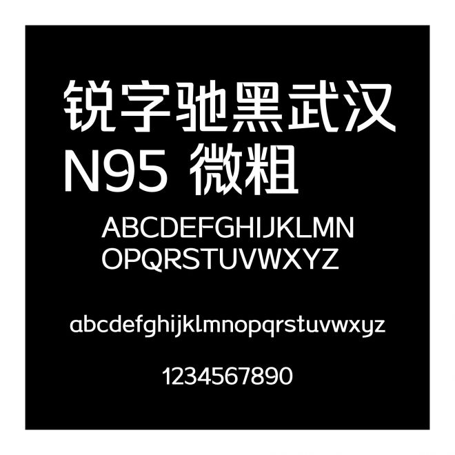 銳字馳黑武漢N95 微粗