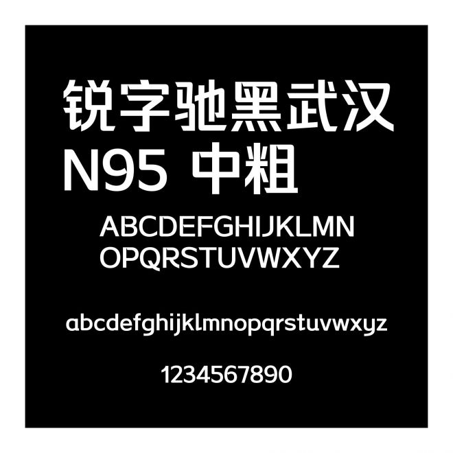 銳字馳黑武漢N95 中粗