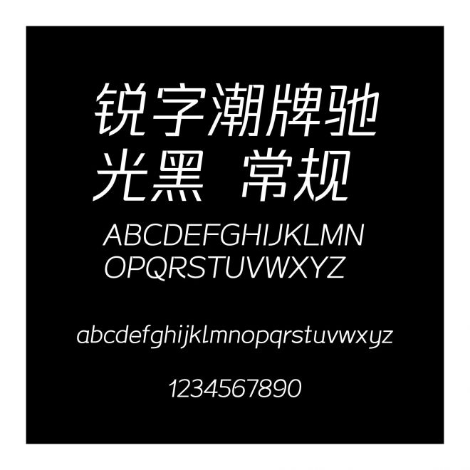 銳字潮牌馳光黑 常規(guī)