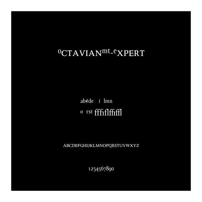 OctavianMT-Expert