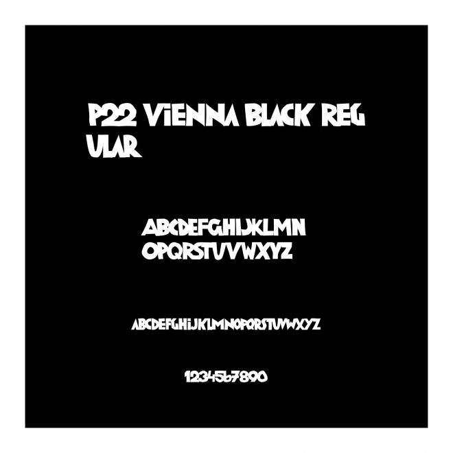 P22 Vienna Black Regular