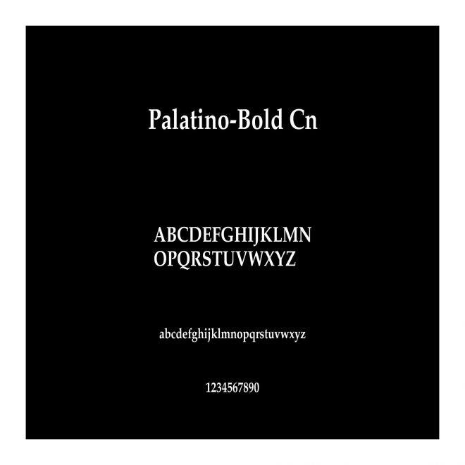 Palatino-Bold Cn