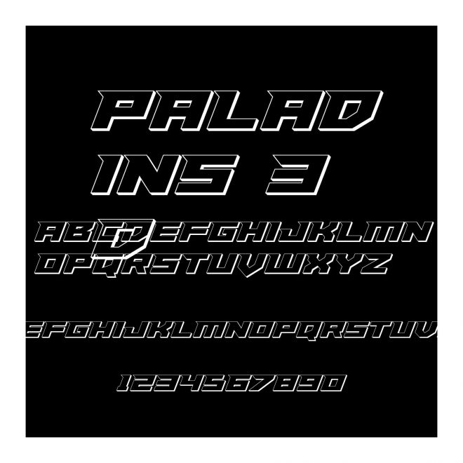 Paladins 3D