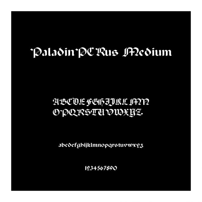 PaladinPCRus Medium
