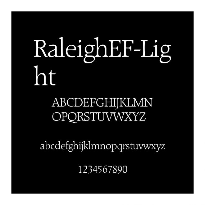 RaleighEF-Light