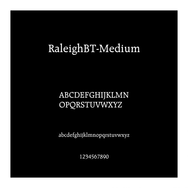 RaleighBT-Medium