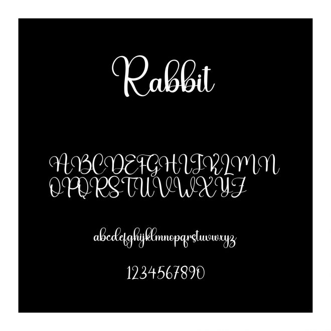 Rabbit