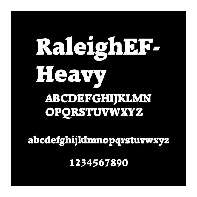 RaleighEF-Heavy