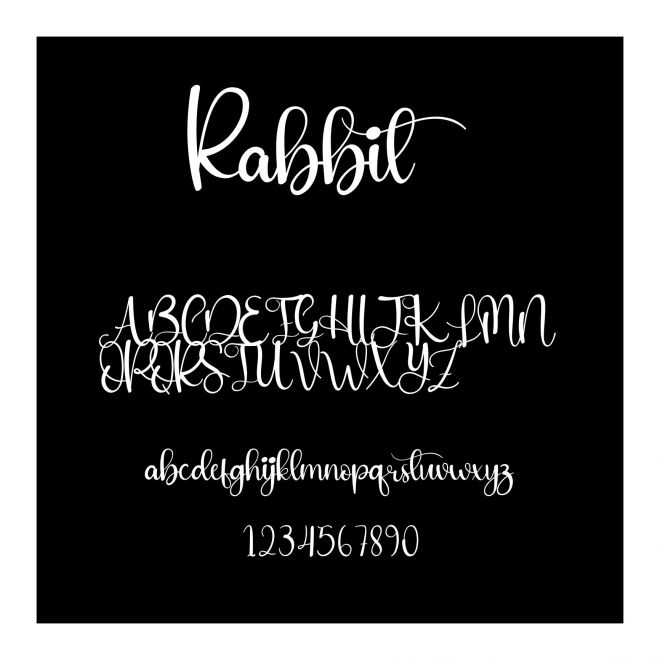 Rabbit