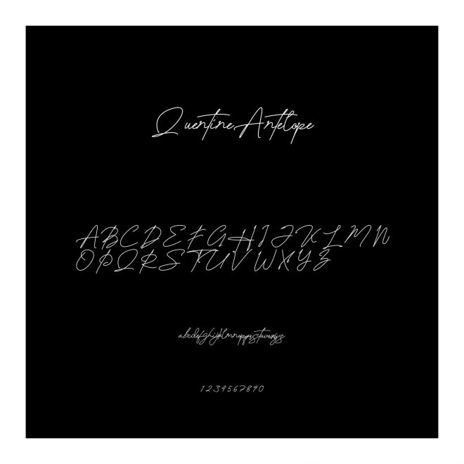 QuentineAntelope