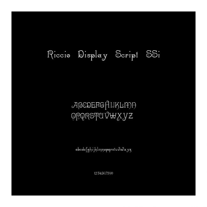 Riccio Display Script SSi
