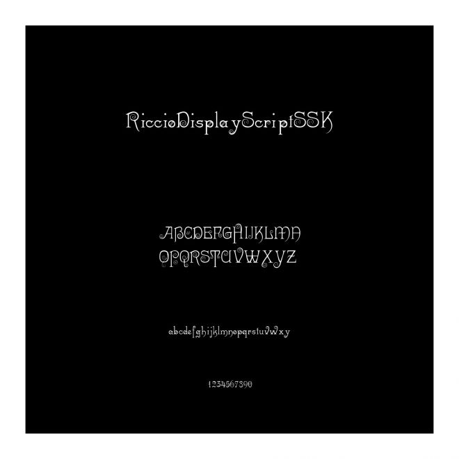 RiccioDisplayScriptSSK