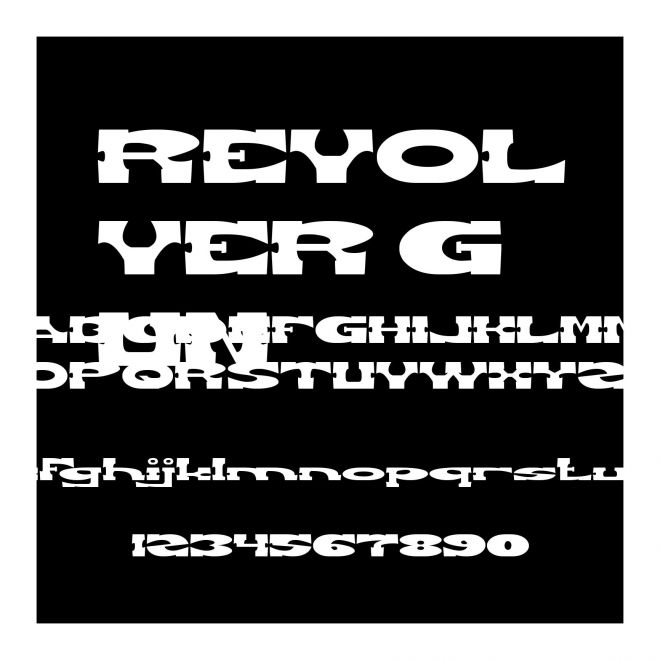 REVOLVER GUN