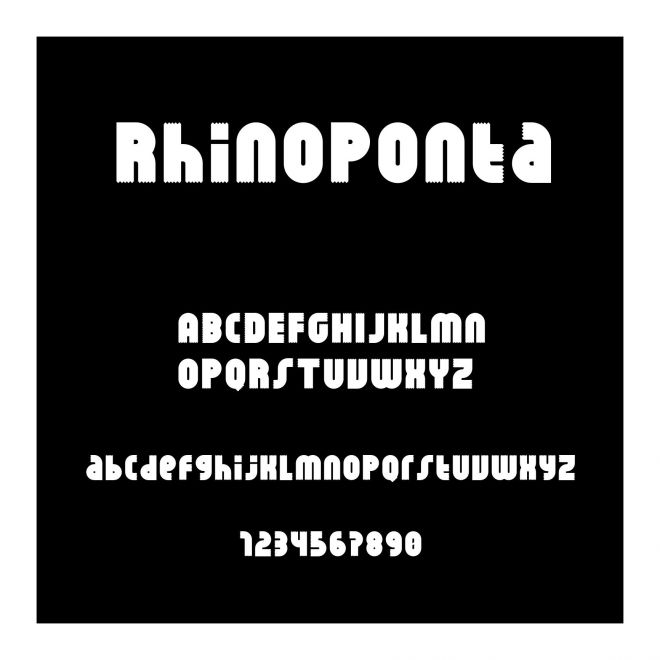 RhinoPonta
