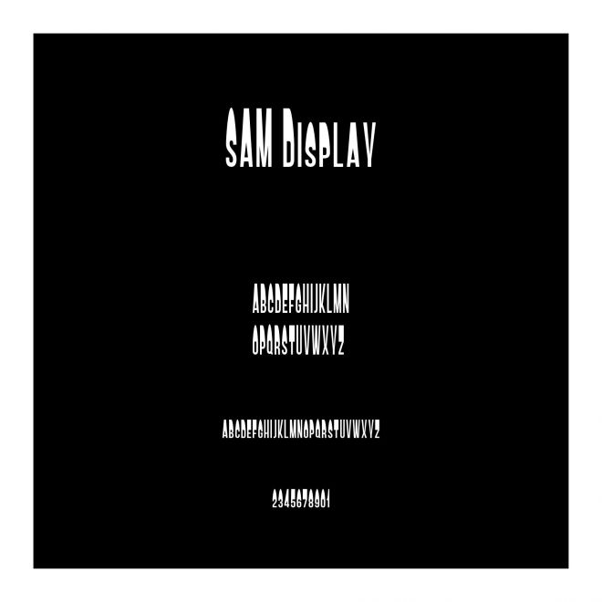 SAM Display
