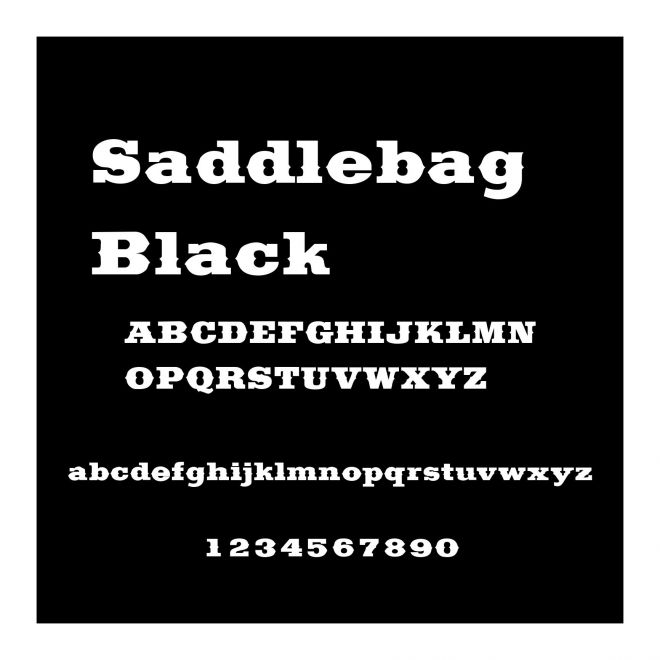 Saddlebag Black