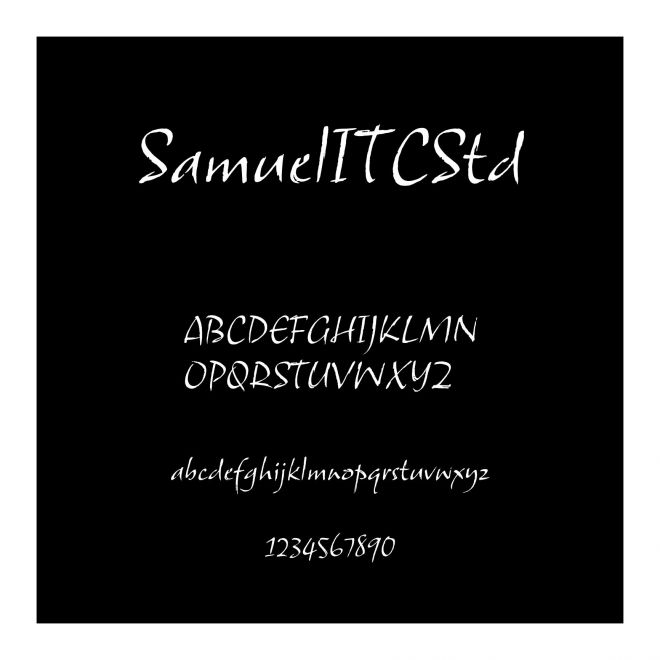 SamuelITCStd