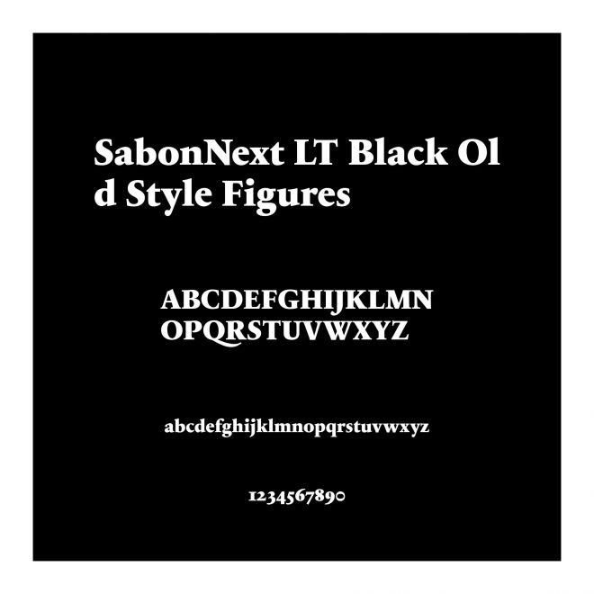 SabonNext LT Black Old Style Figures