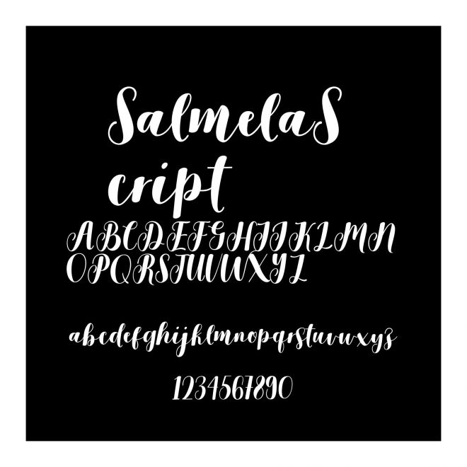 SalmelaScript