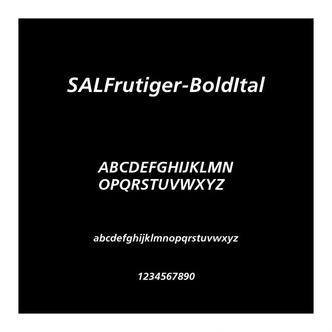 SALFrutiger-BoldItal