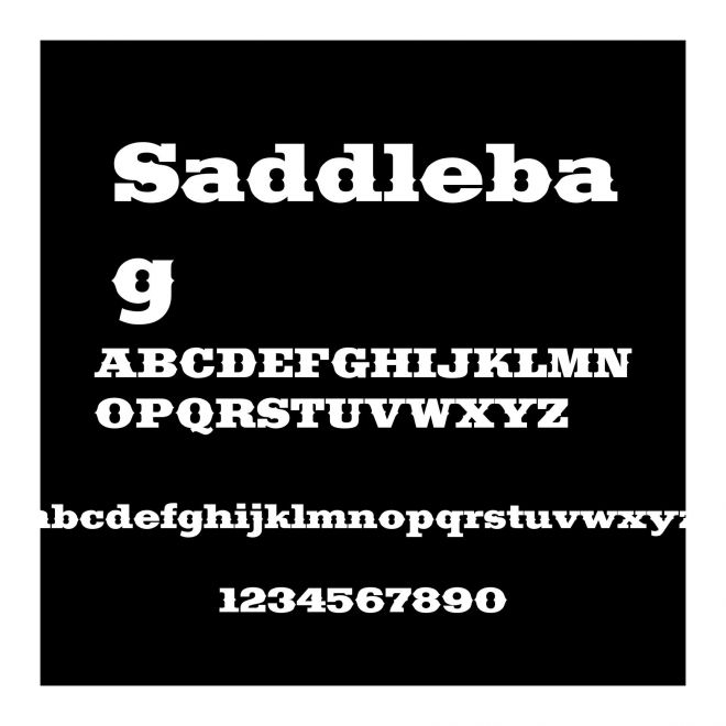 Saddlebag