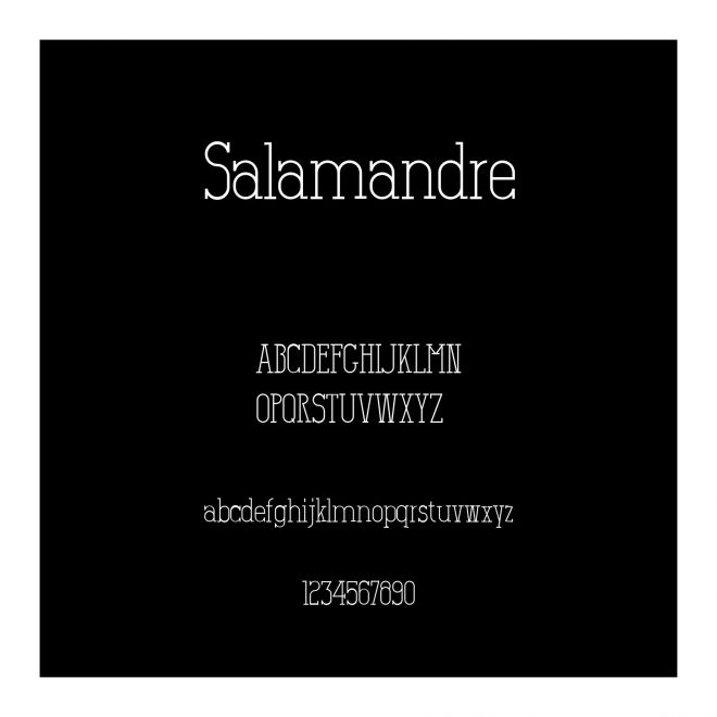 Salamandre