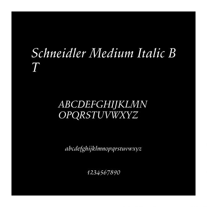 Schneidler Medium Italic BT