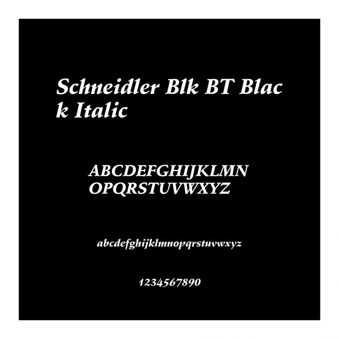 Schneidler Blk BT Black Italic