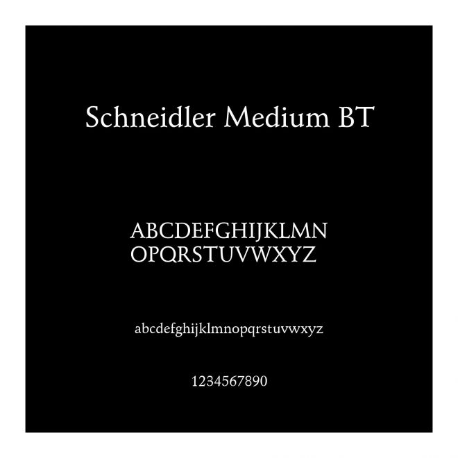 Schneidler Medium BT