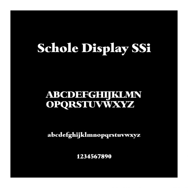 Schole Display SSi