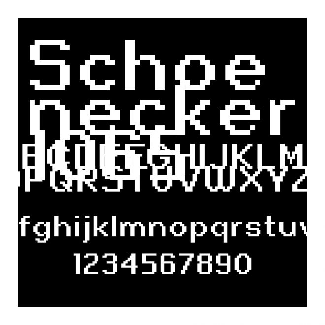 Schoenecker1065