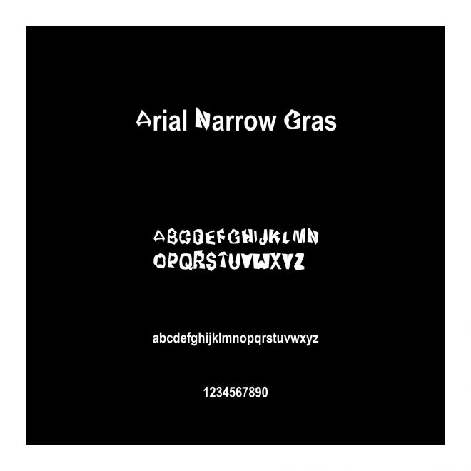 Arial Narrow Gras