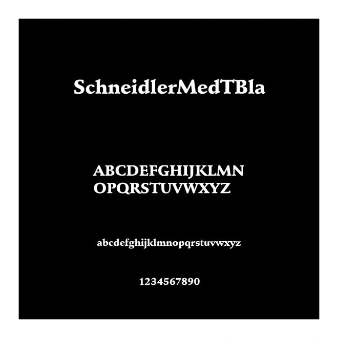 SchneidlerMedTBla