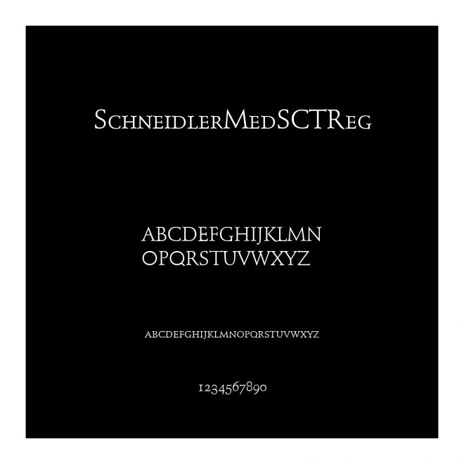 SchneidlerMedSCTReg