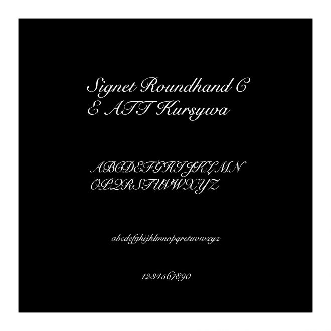 Signet Roundhand CE ATT Kursywa
