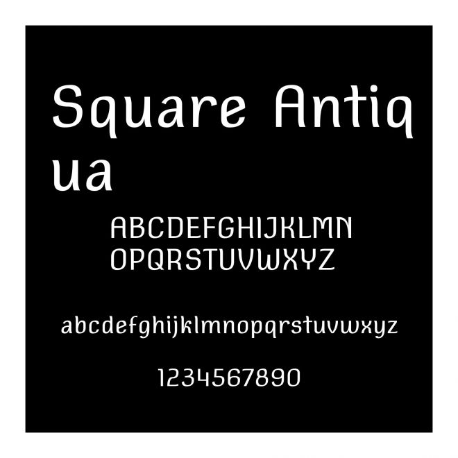 Square Antiqua