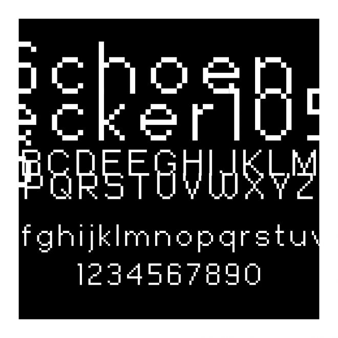 Schoenecker1056