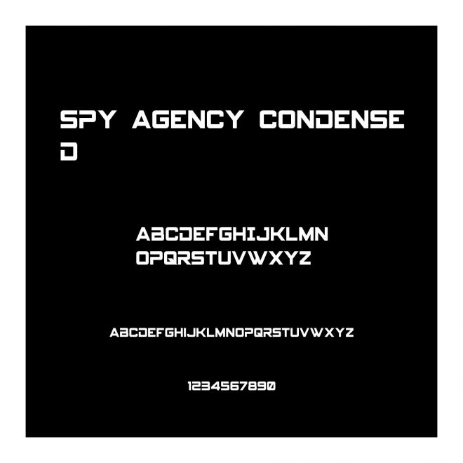 Spy Agency Condensed