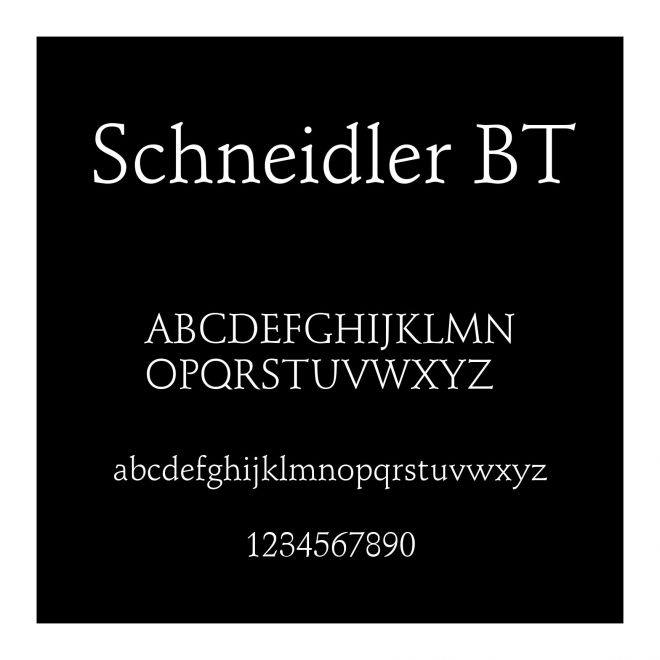 Schneidler BT