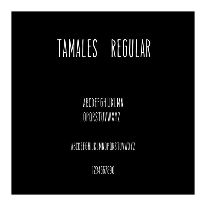 Tamales Regular